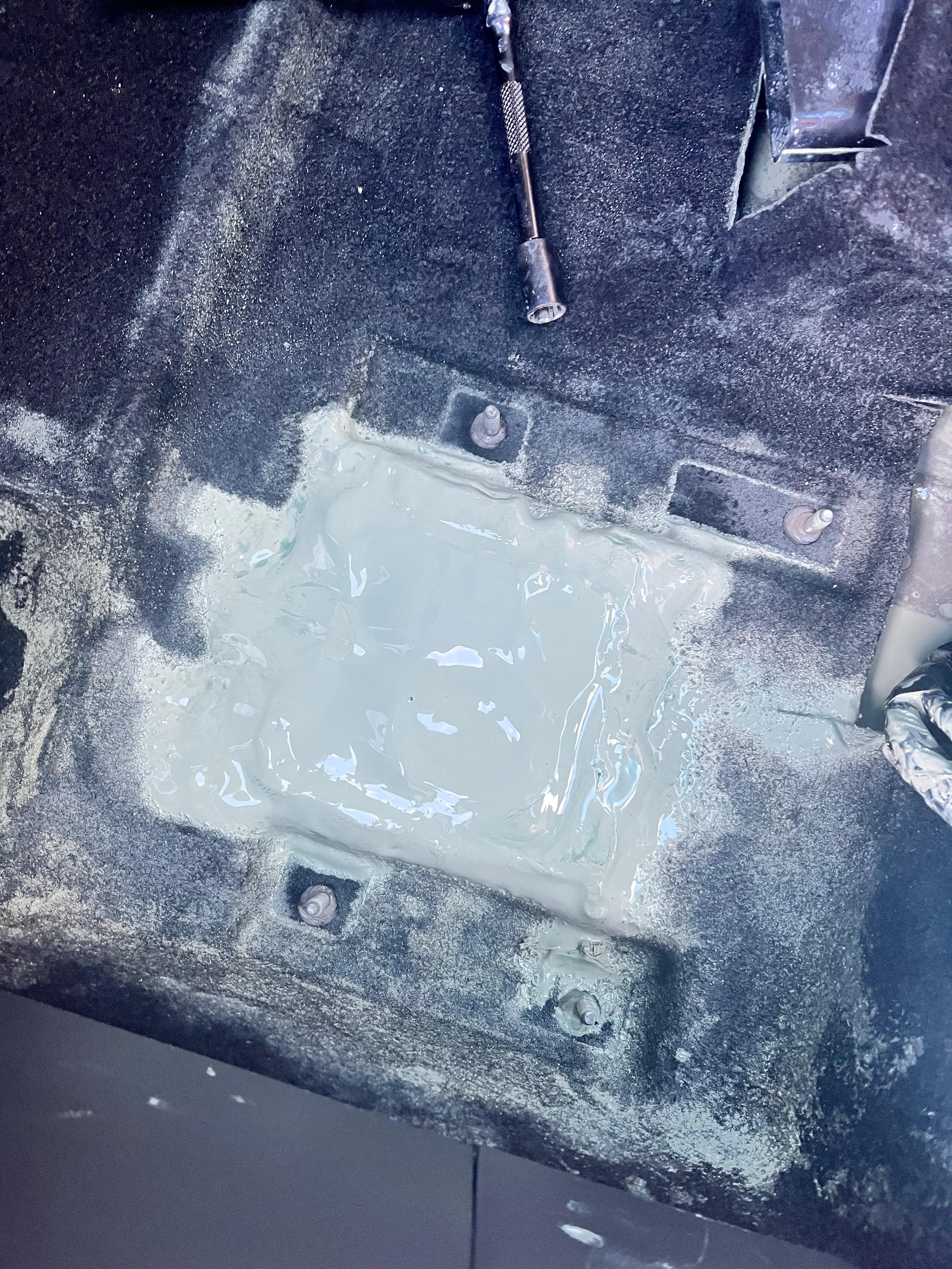 Wai Ting Lee vehicle detail
